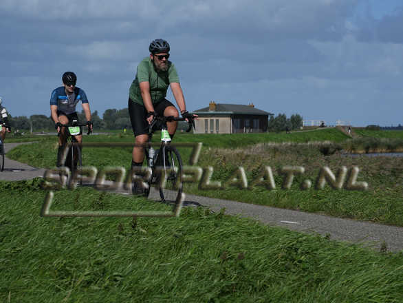 D7007.jpg